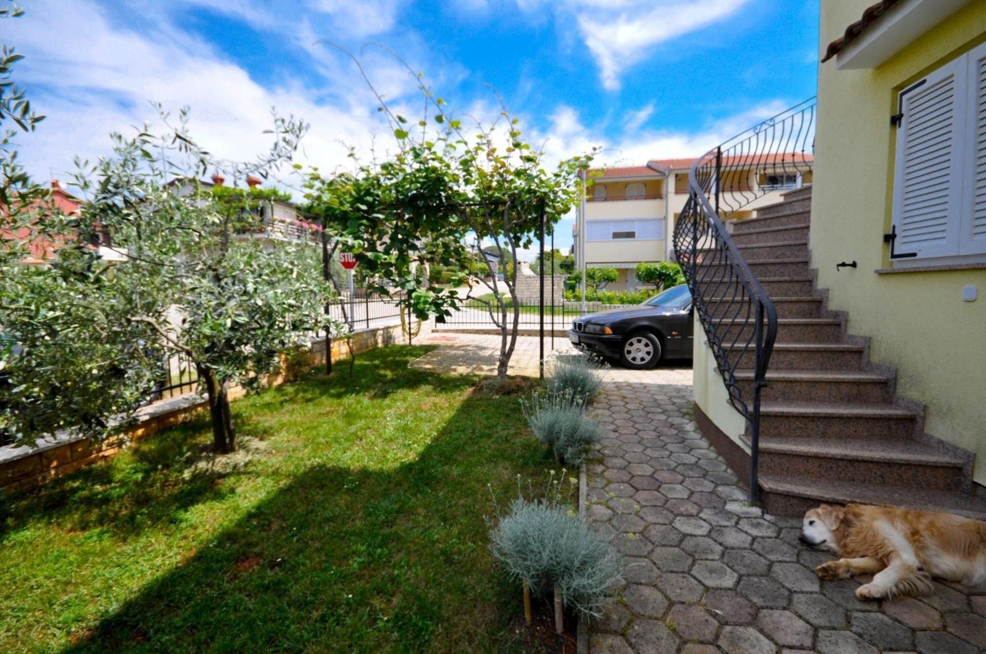 Ferienwohnung Fuer 2 Personen 30 M2 In Novigrad, Istrien Karpinjan Екстер'єр фото